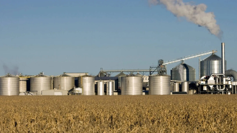 Biomass feed-stocks and uses of Fractionated Components