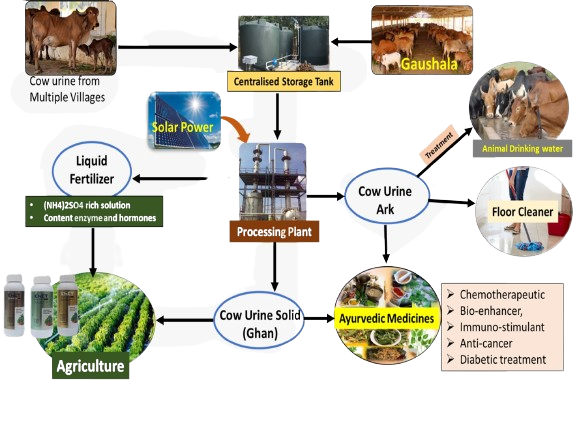 Cow Urine Processing